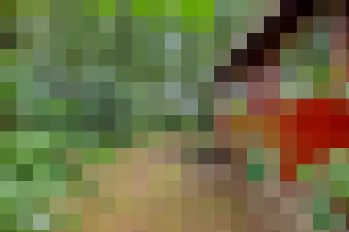 Twentseweg 79 Lemelerveld thumbnail 33