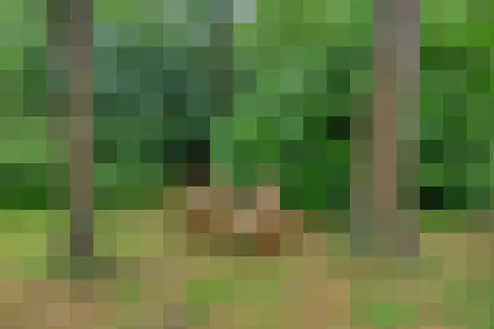 Twentseweg 79 Lemelerveld thumbnail 34