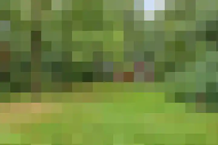 Twentseweg 79 Lemelerveld thumbnail 35