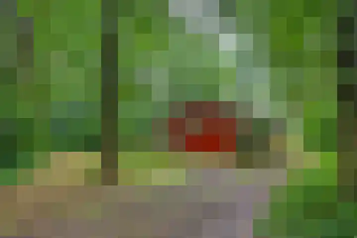 Twentseweg 79 Lemelerveld thumbnail 38