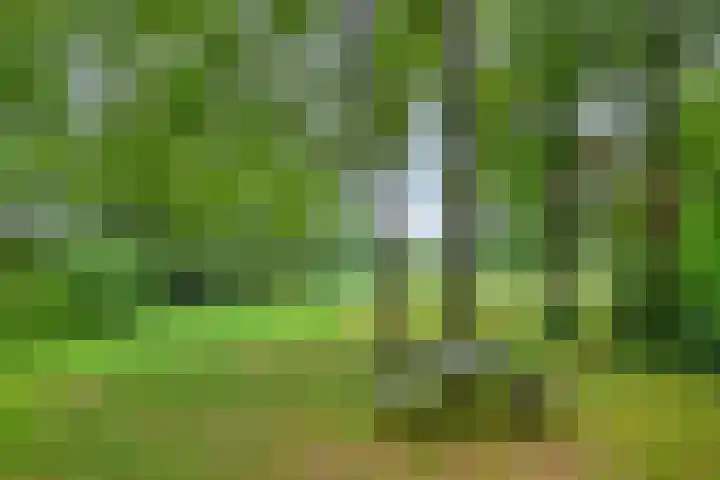 Twentseweg 79 Lemelerveld thumbnail 5