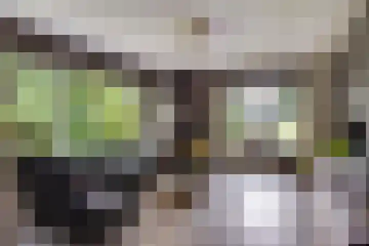 Twentseweg 79 Lemelerveld thumbnail 6