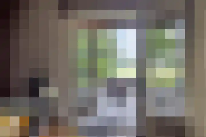 Twentseweg 79 Lemelerveld thumbnail 7