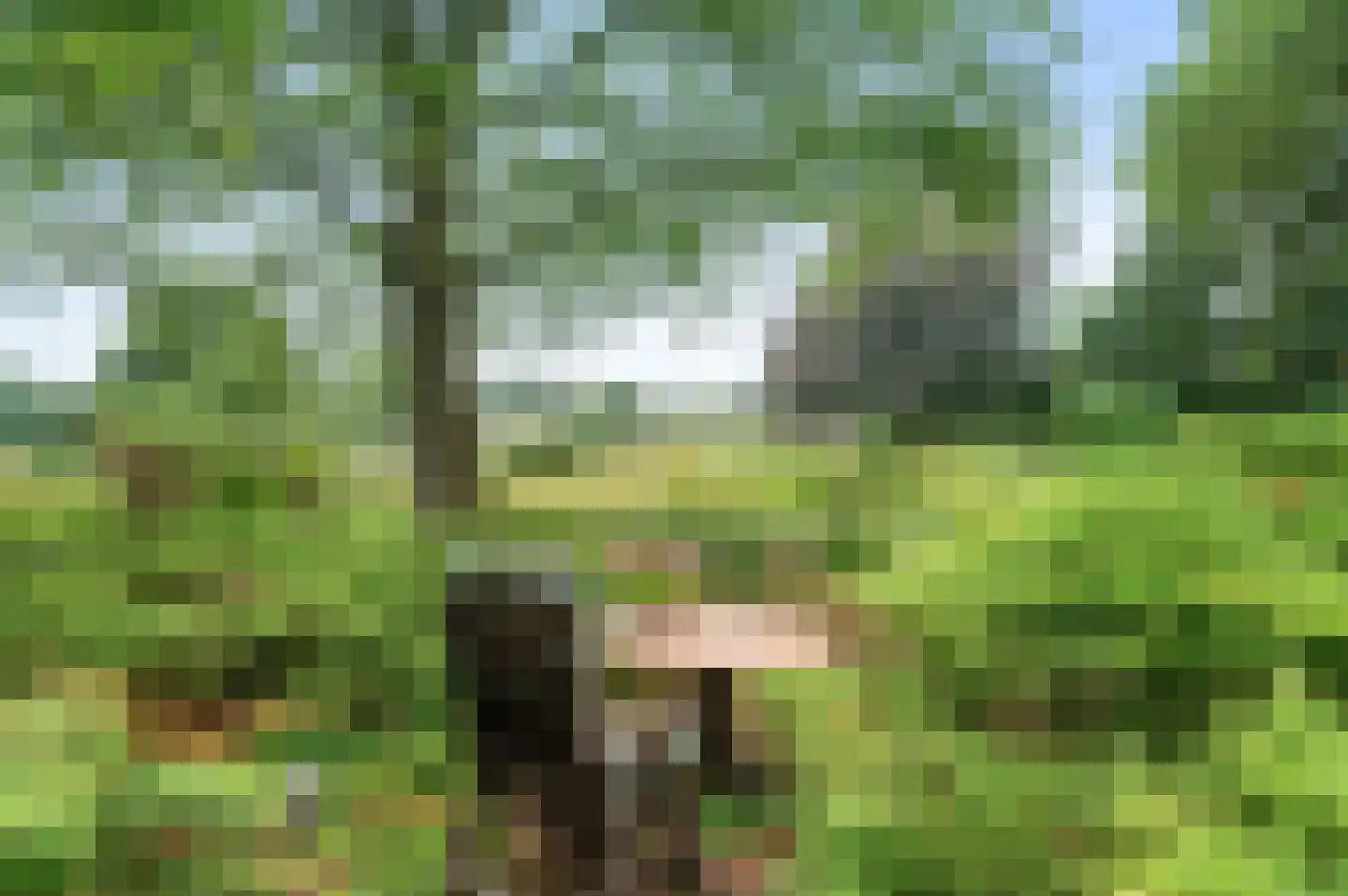 Twentseweg 81 Lemelerveld thumbnail 26