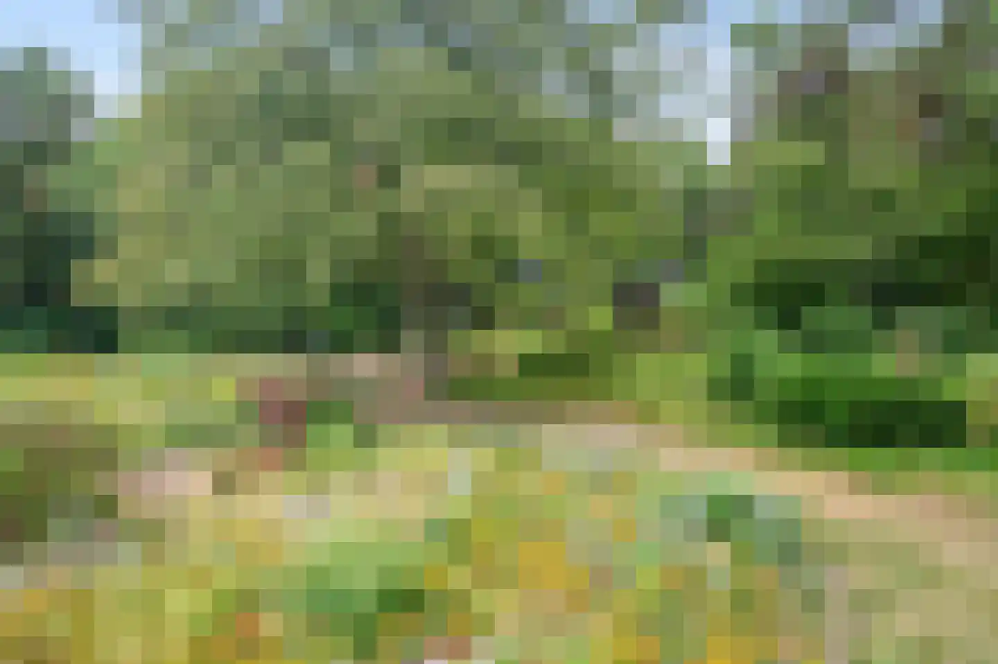 Twentseweg 81 Lemelerveld thumbnail 27
