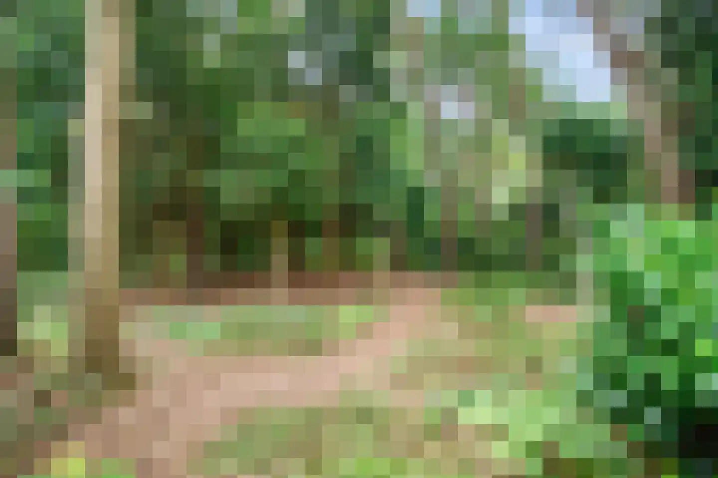 Twentseweg 81 Lemelerveld thumbnail 30