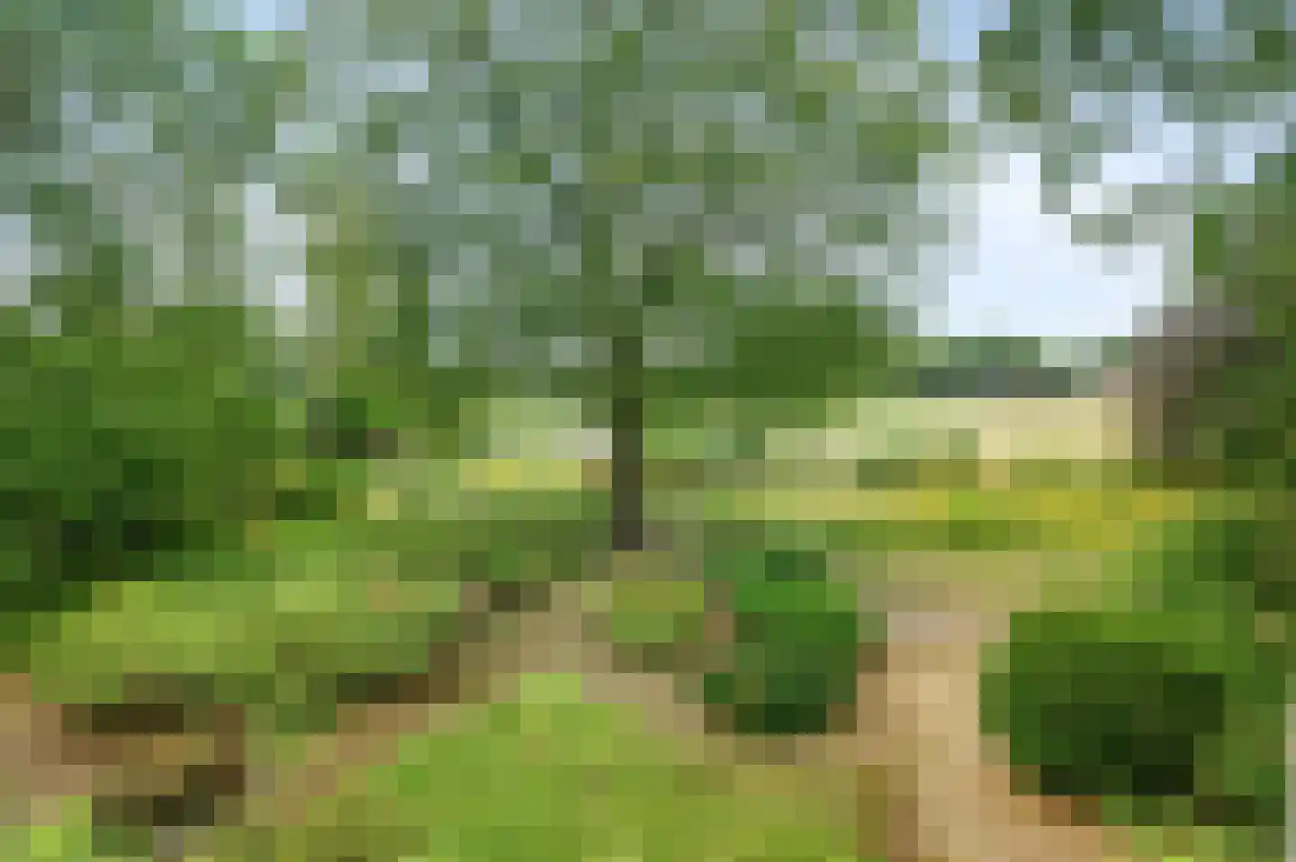 Twentseweg 81 Lemelerveld thumbnail 31