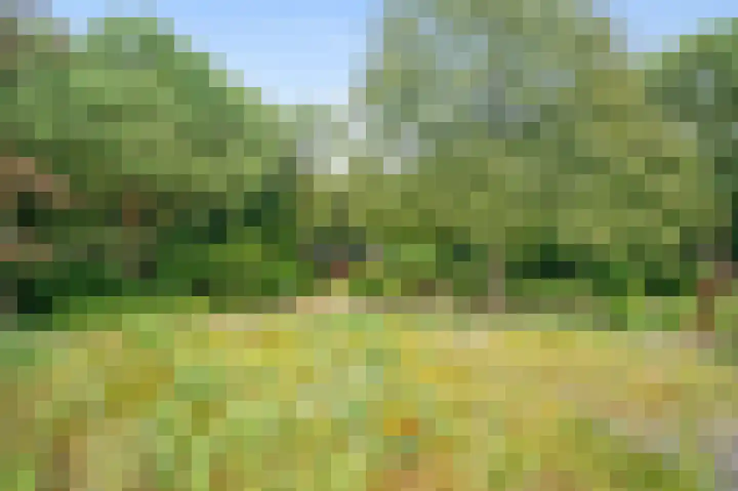 Twentseweg 81 Lemelerveld thumbnail 32