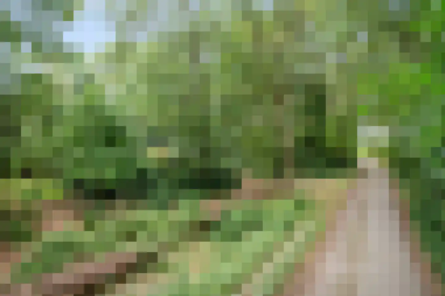 Twentseweg 81 Lemelerveld thumbnail 33