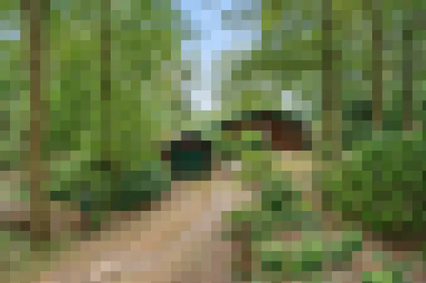 Twentseweg 81 Lemelerveld thumbnail 4