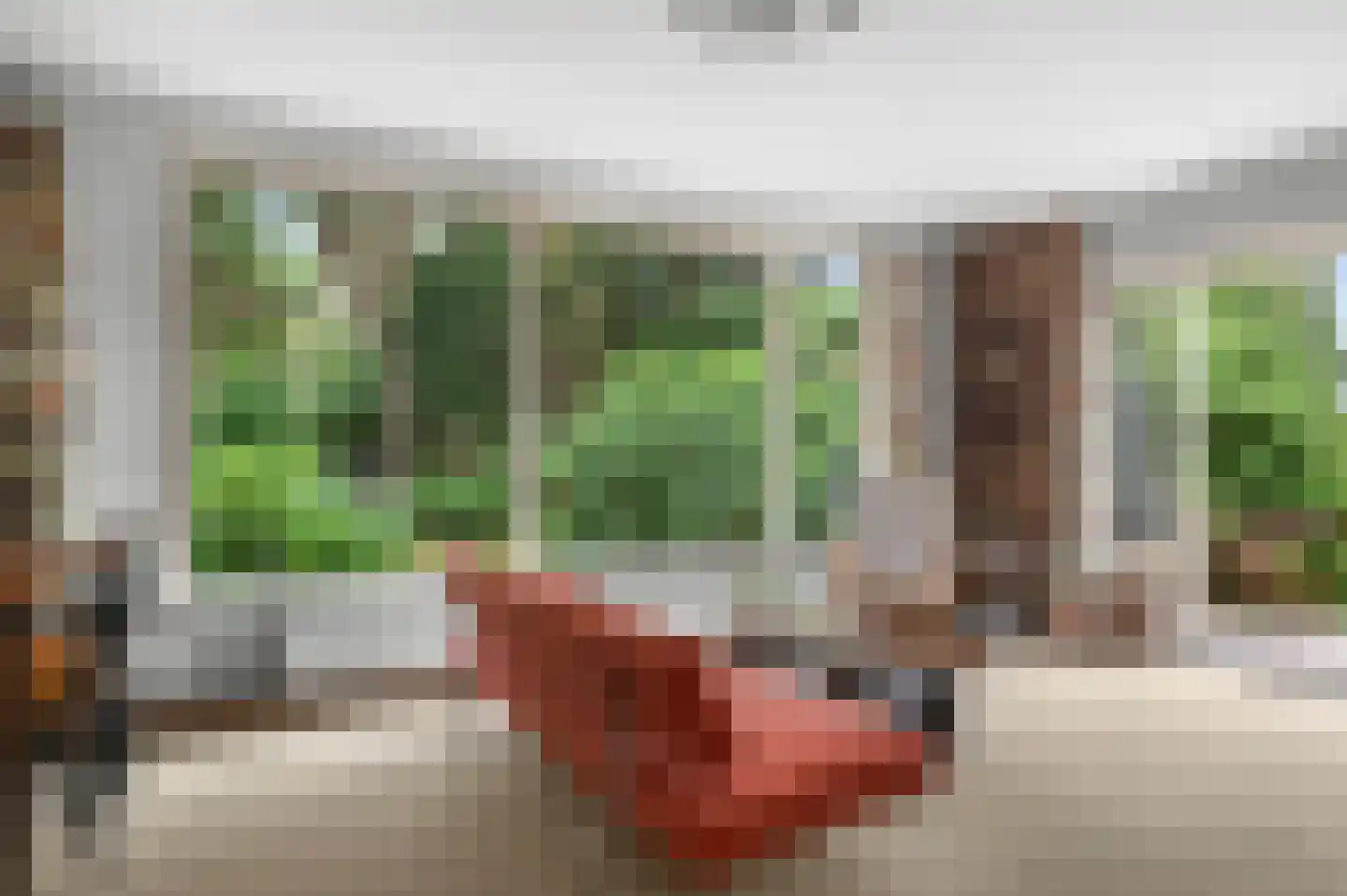 Twentseweg 81 Lemelerveld thumbnail 6