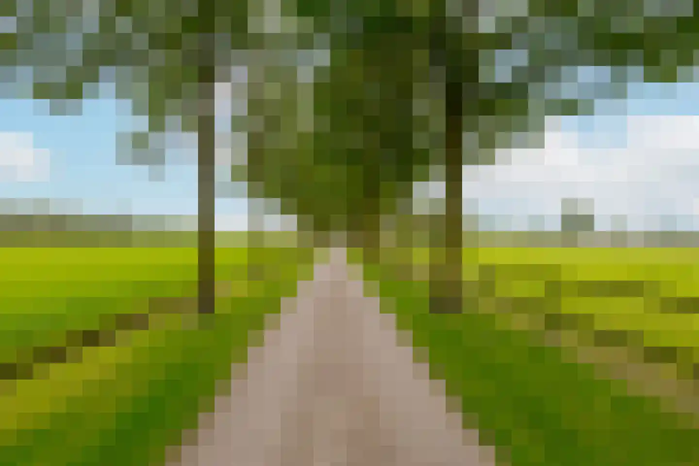 Twentseweg 87 Lemelerveld thumbnail 10