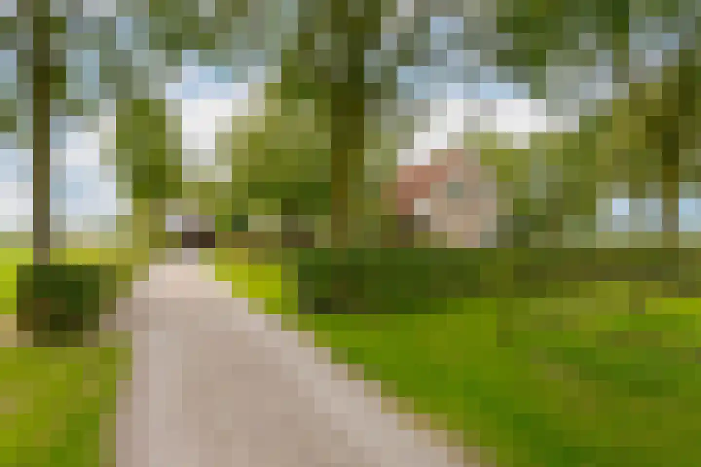 Twentseweg 87 Lemelerveld thumbnail 11