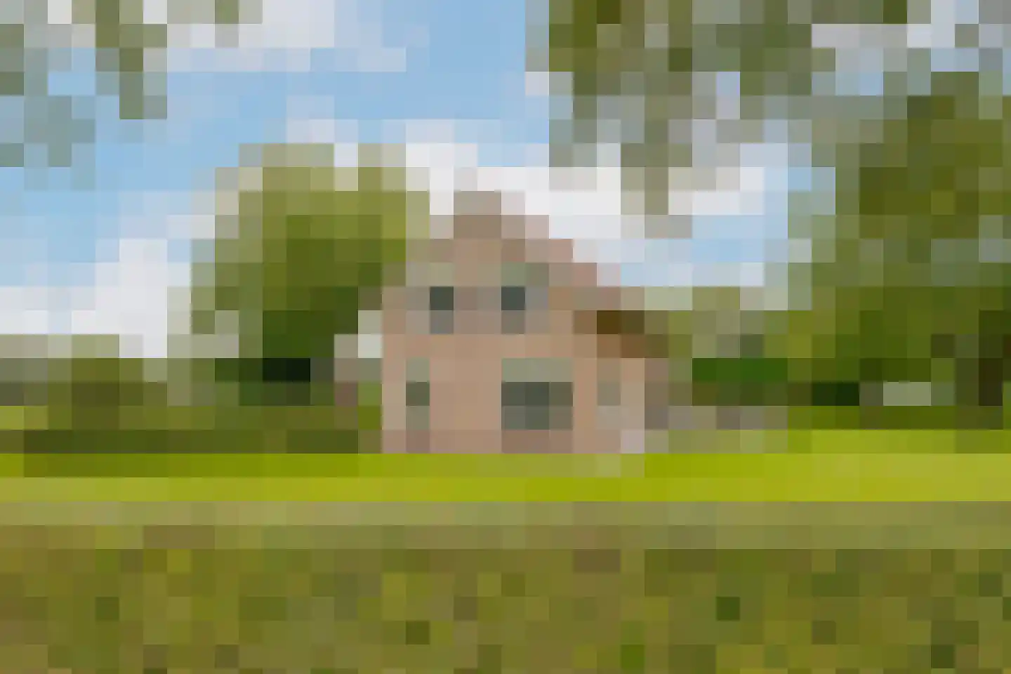 Twentseweg 87 Lemelerveld thumbnail 12