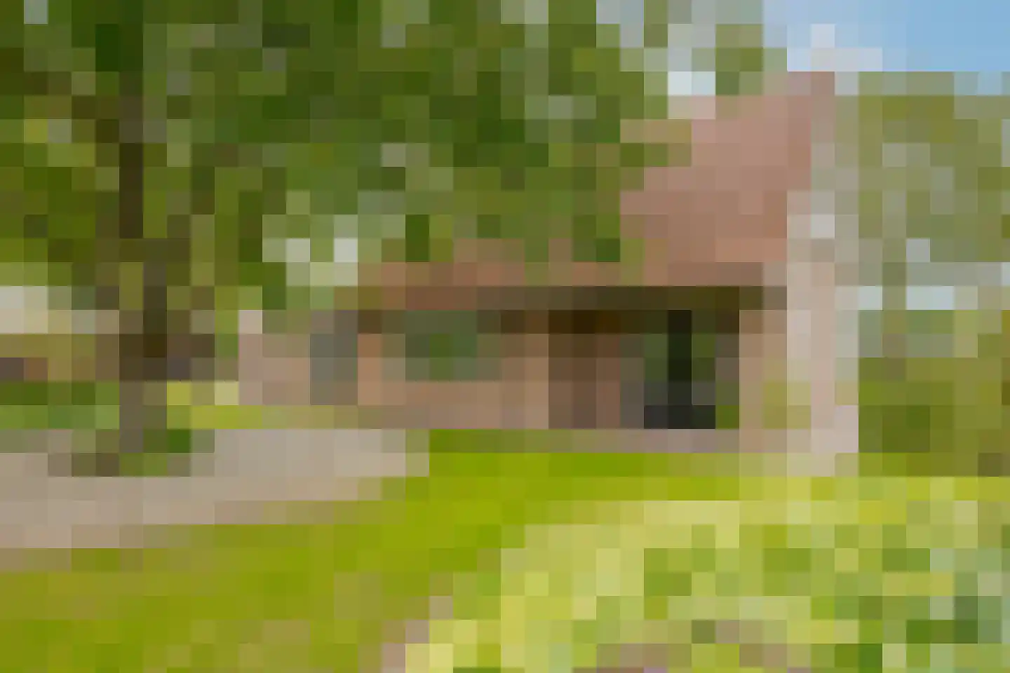 Twentseweg 87 Lemelerveld thumbnail 14