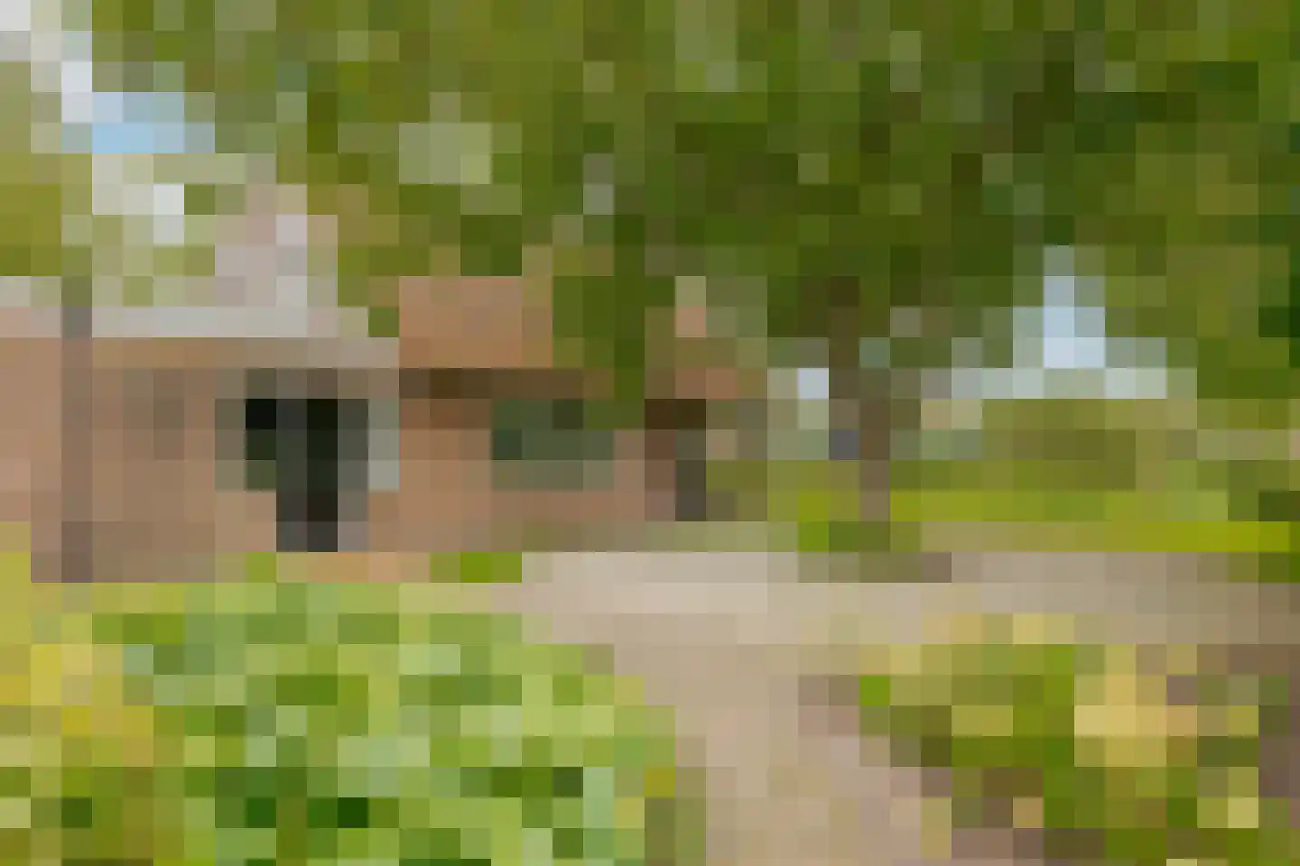 Twentseweg 87 Lemelerveld thumbnail 15