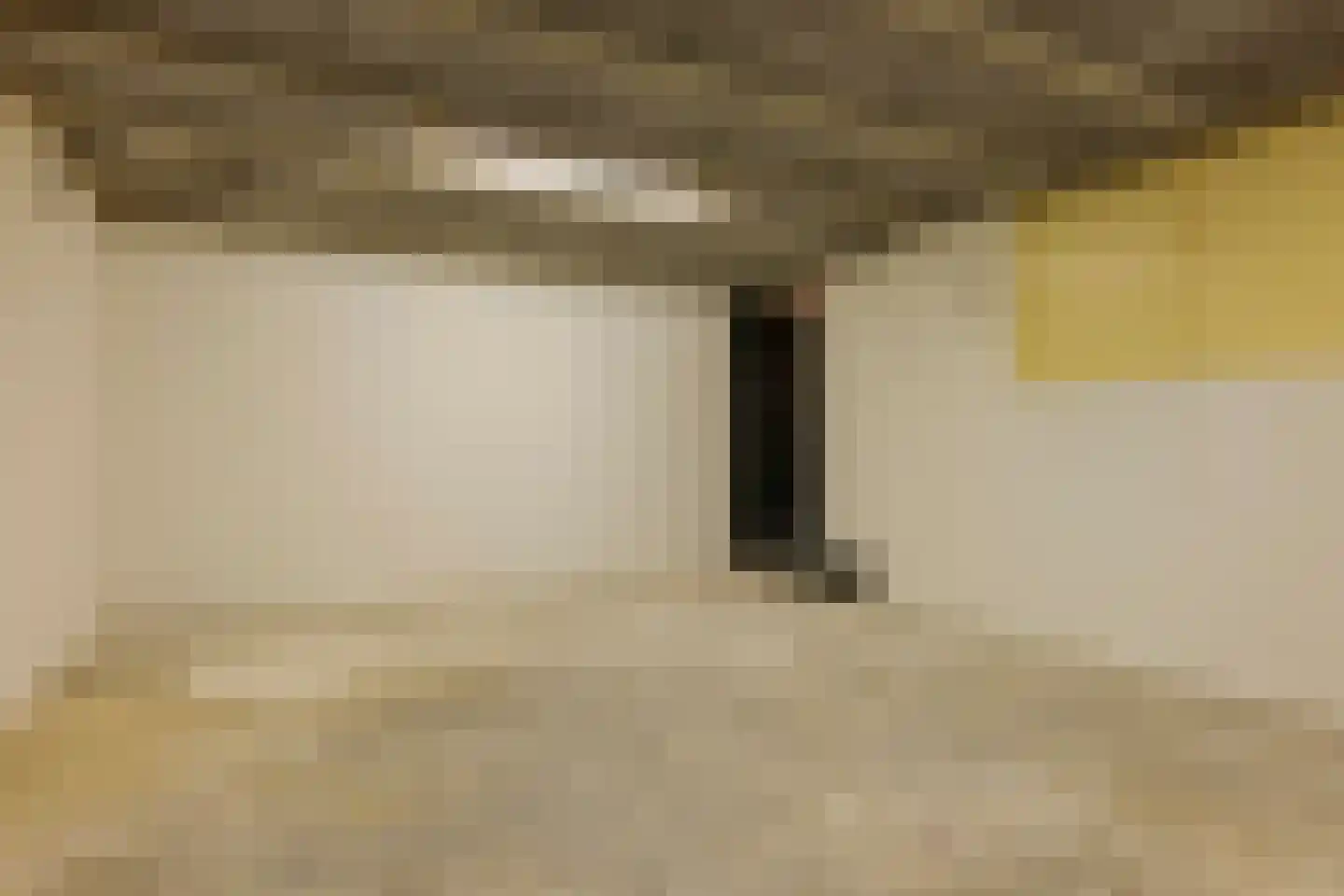 Twentseweg 87 Lemelerveld thumbnail 32