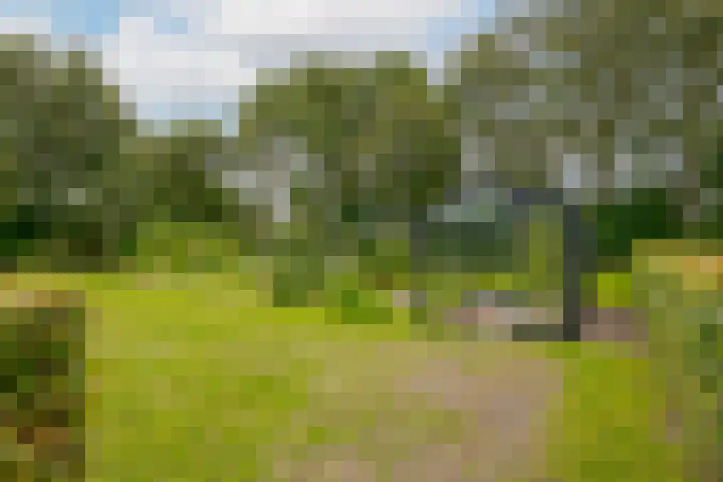 Twentseweg 87 Lemelerveld thumbnail 60