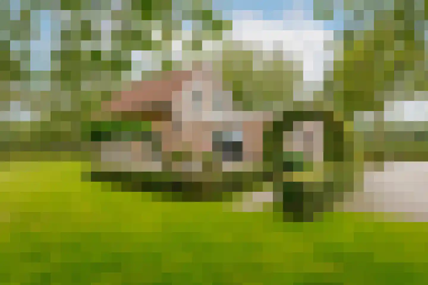 Twentseweg 87 Lemelerveld thumbnail 7