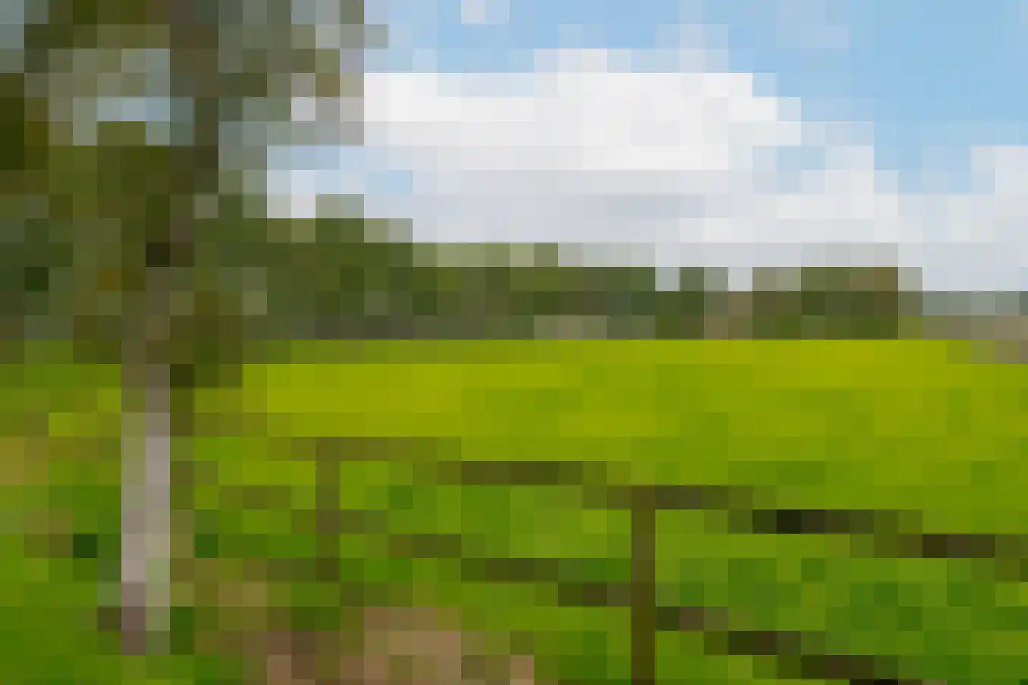 Twentseweg 87 Lemelerveld thumbnail 71