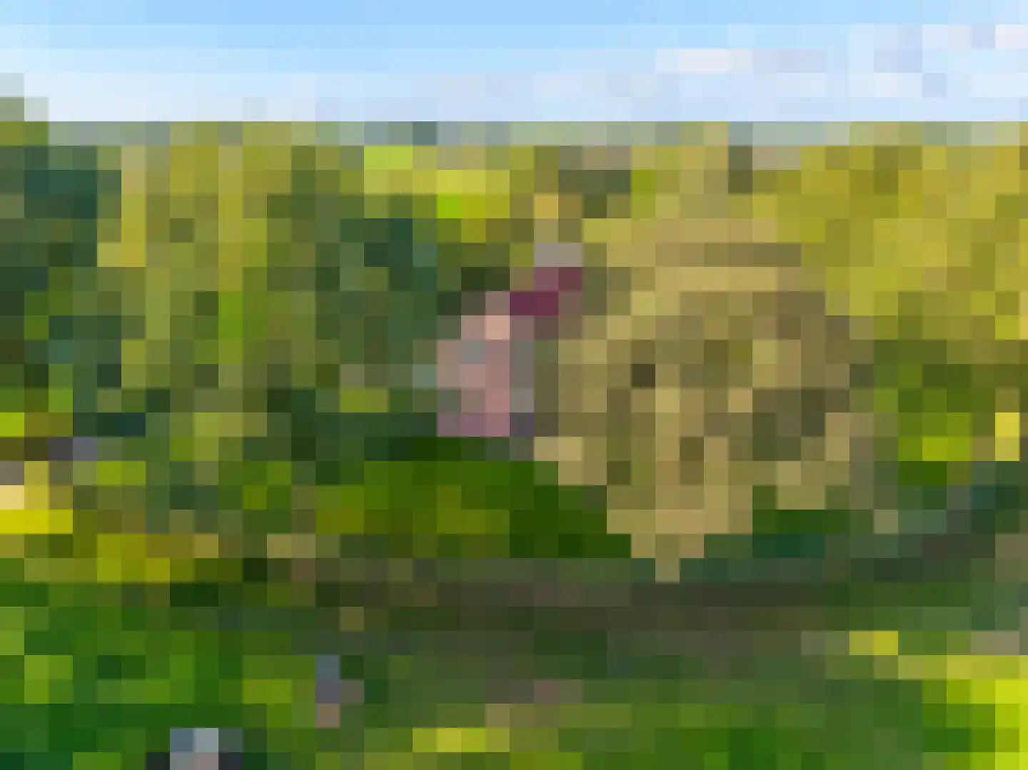 Twentseweg 87 Lemelerveld thumbnail 73