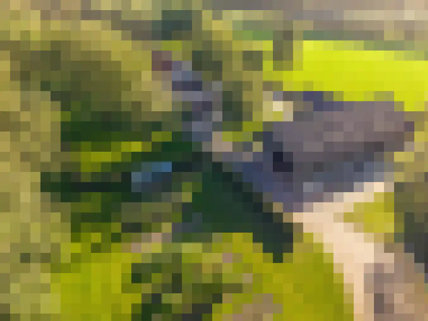 Twentseweg 87 Lemelerveld thumbnail 76