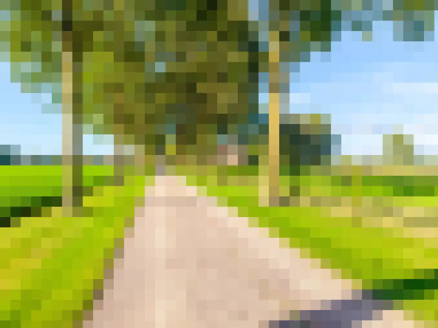 Twentseweg 87 Lemelerveld thumbnail 78
