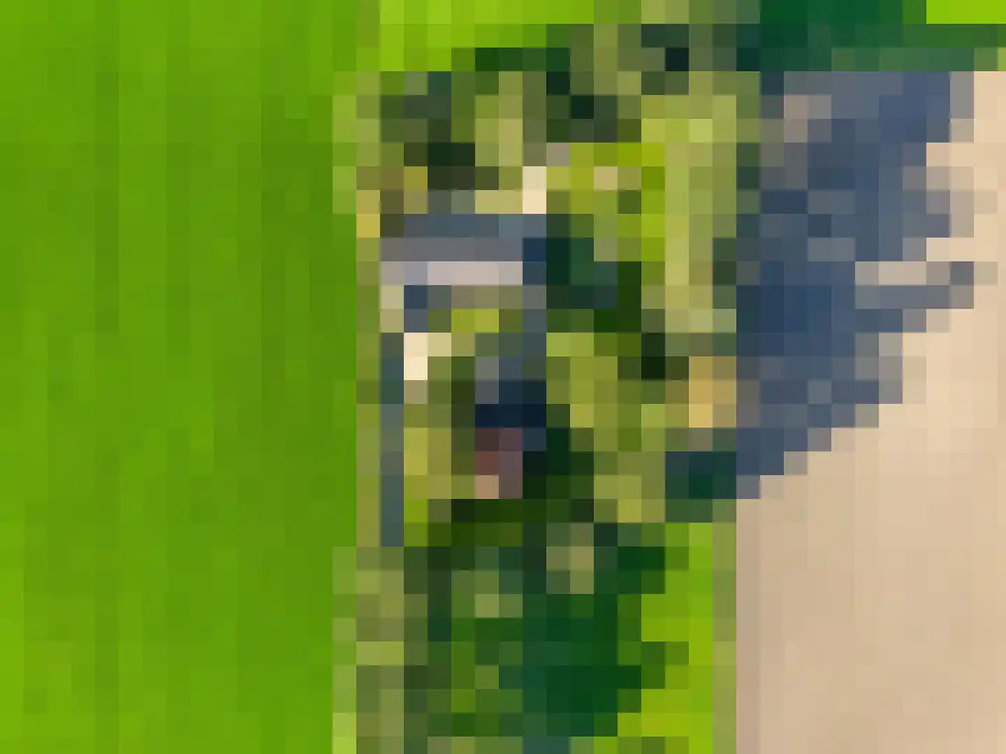 Twentseweg 87 Lemelerveld thumbnail 8
