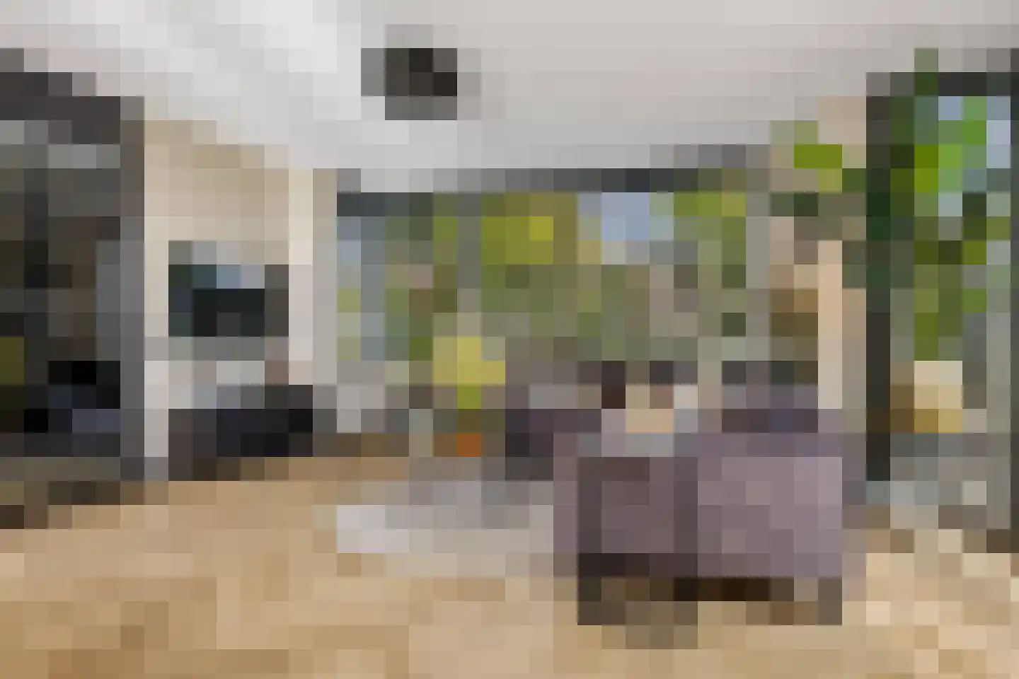 Twickel 1 Zeewolde thumbnail 12