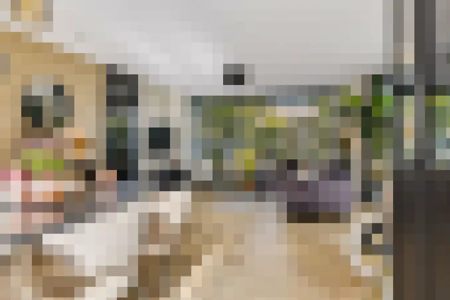 Twickel 1 Zeewolde thumbnail 17