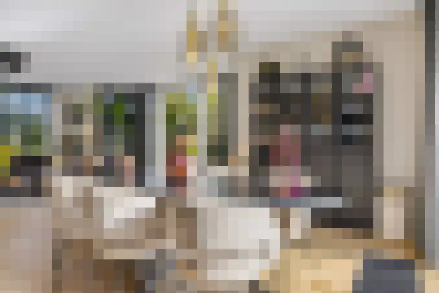 Twickel 1 Zeewolde thumbnail 18