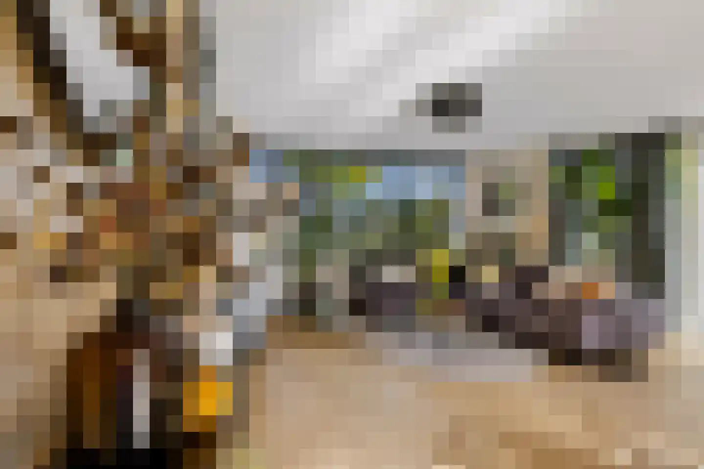 Twickel 1 Zeewolde thumbnail 19