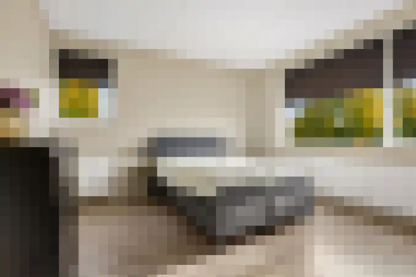 Twickel 1 Zeewolde thumbnail 42