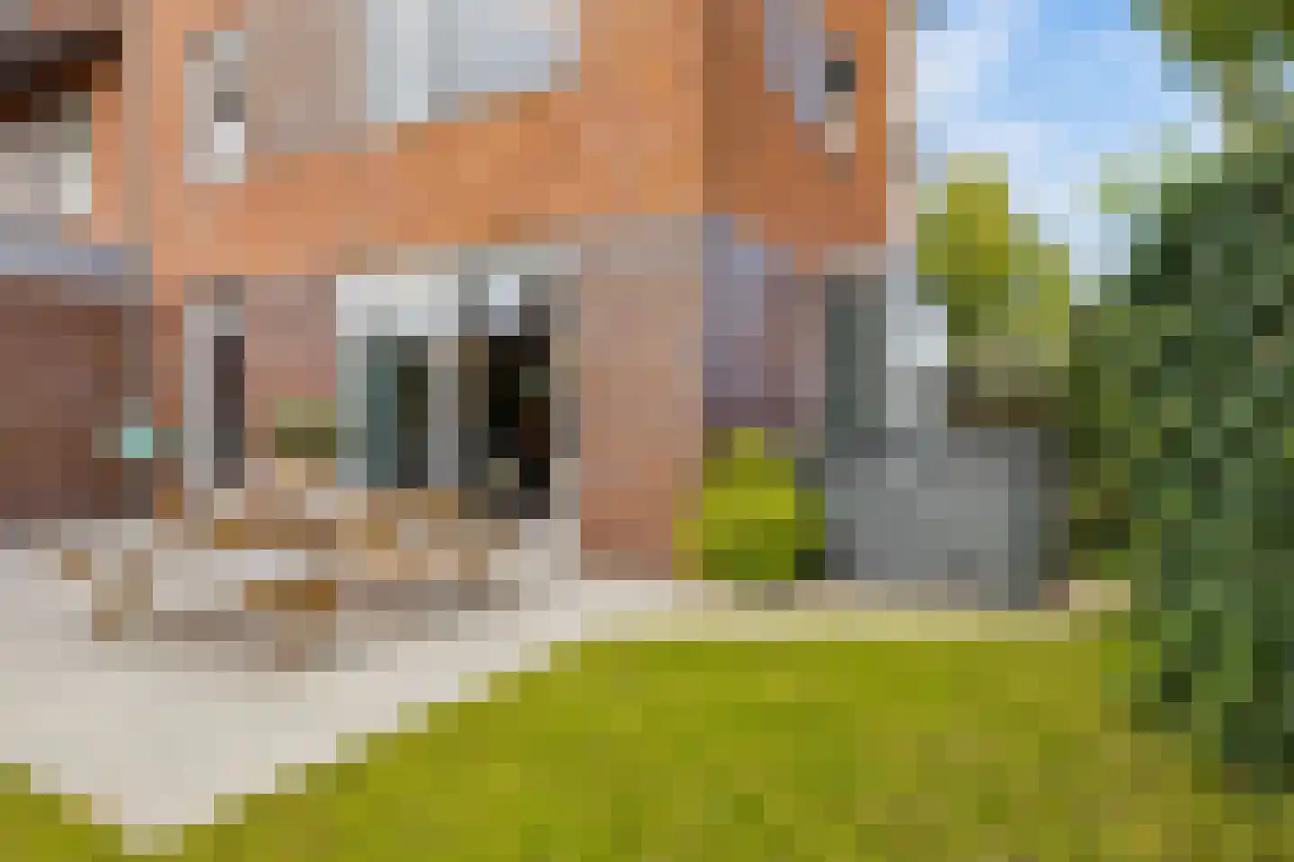 Twickel 1 Zeewolde thumbnail 53