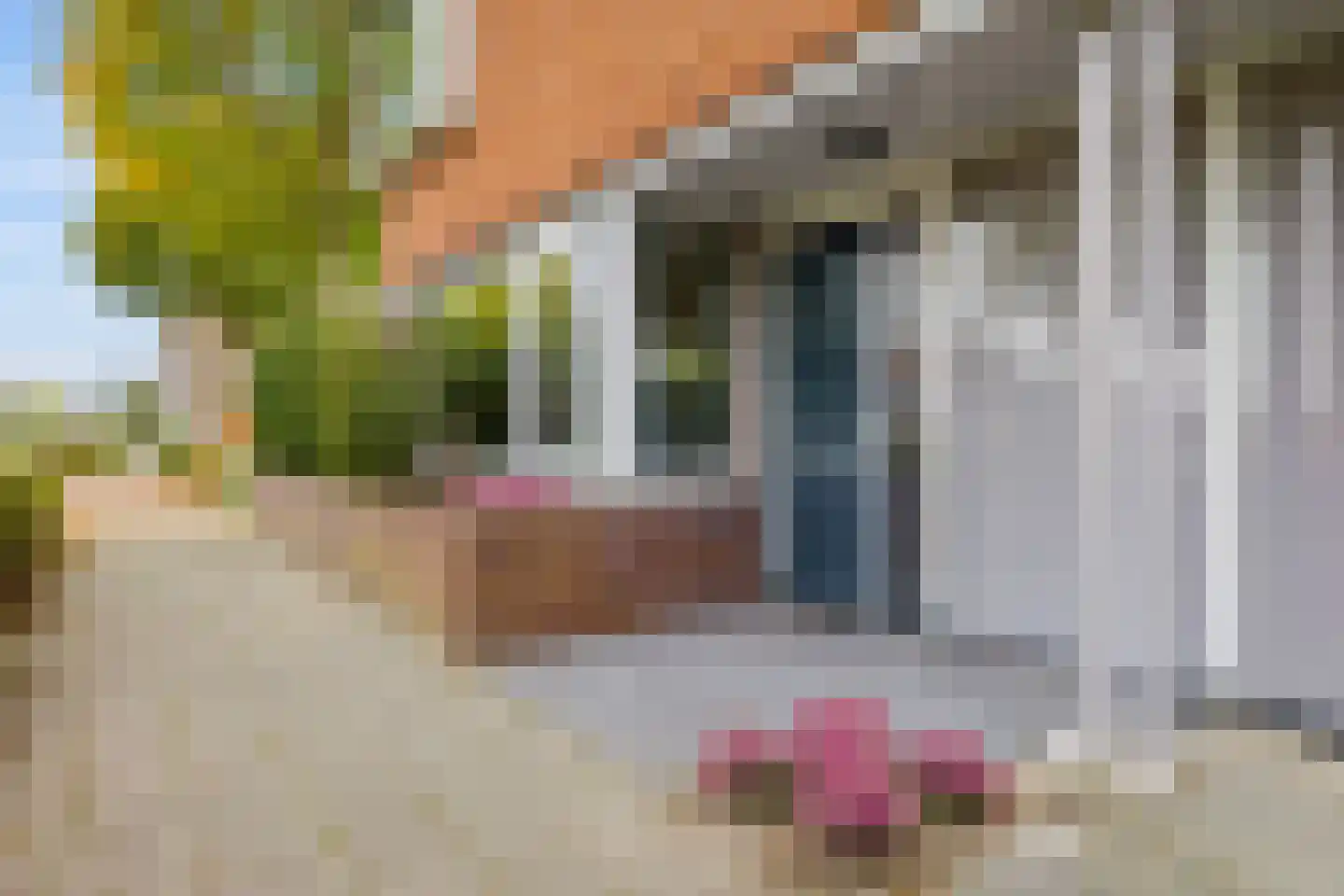 Twickel 1 Zeewolde thumbnail 8