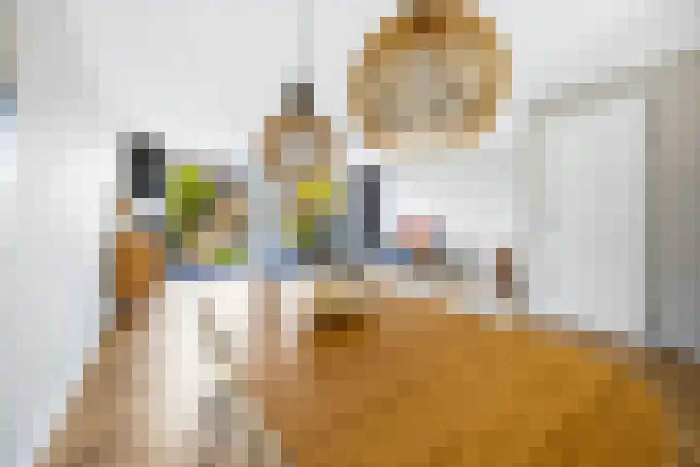 Twickel 10 Rijswijk thumbnail 10