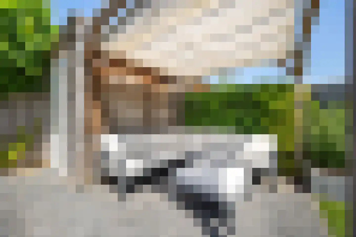 Twickel 10 Rijswijk thumbnail 18