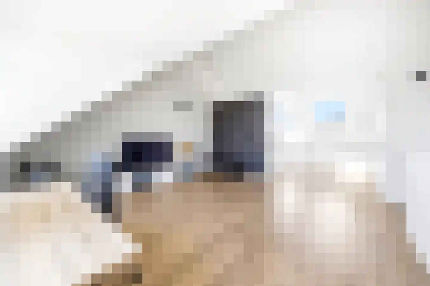 Twickel 10 Rijswijk thumbnail 35