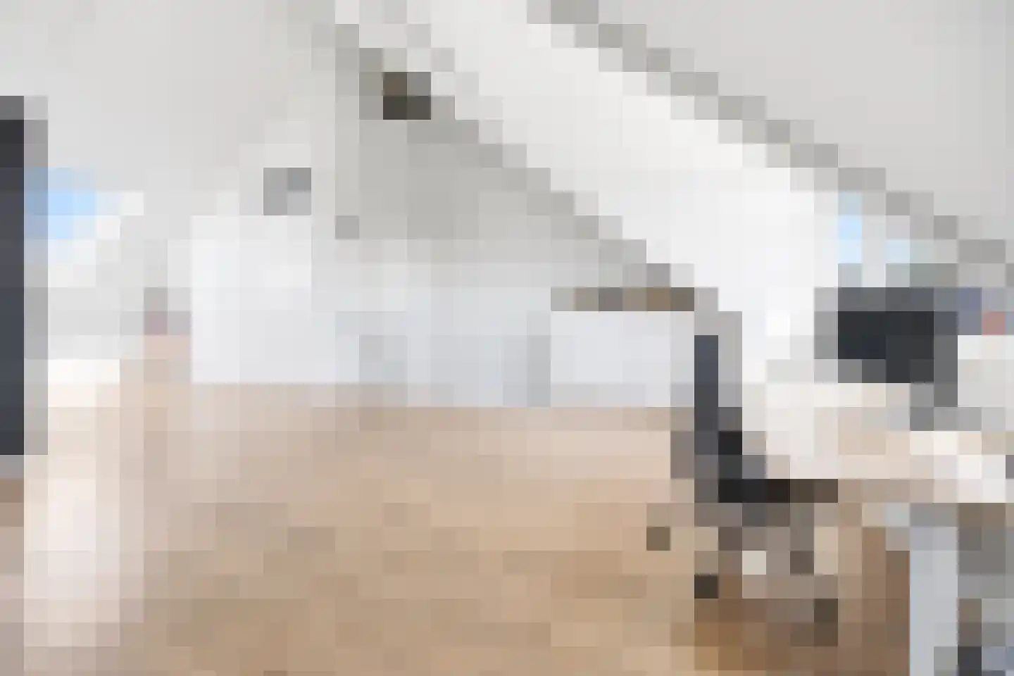 Twickel 10 Rijswijk thumbnail 36