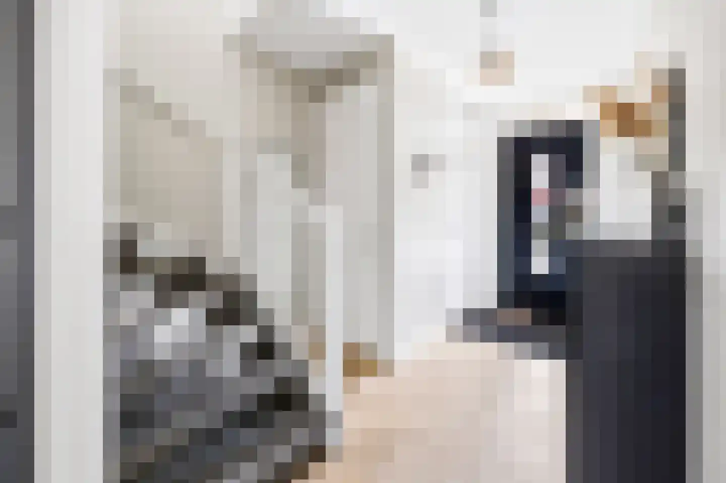 Twickel 10 Rijswijk thumbnail 6