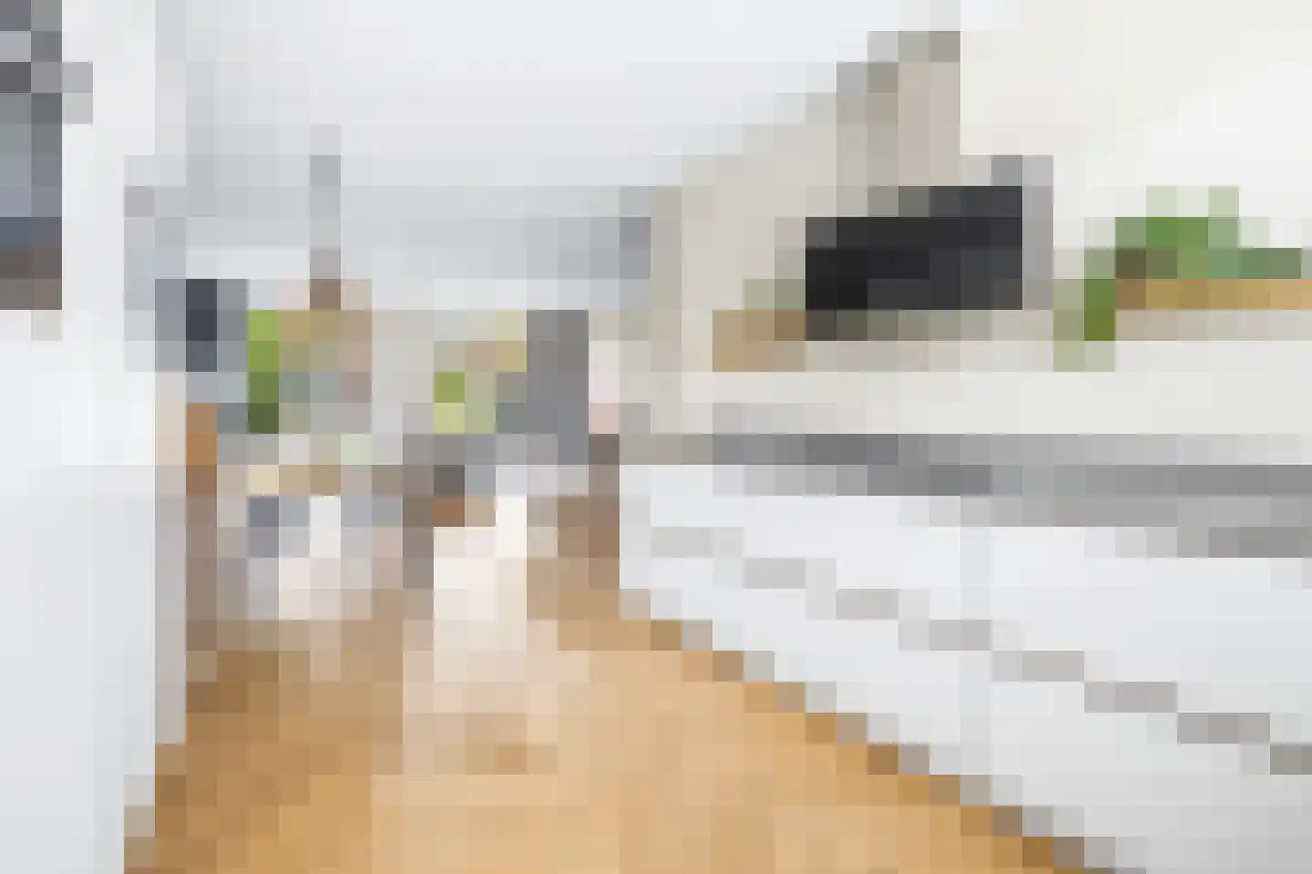Twickel 10 Rijswijk thumbnail 9
