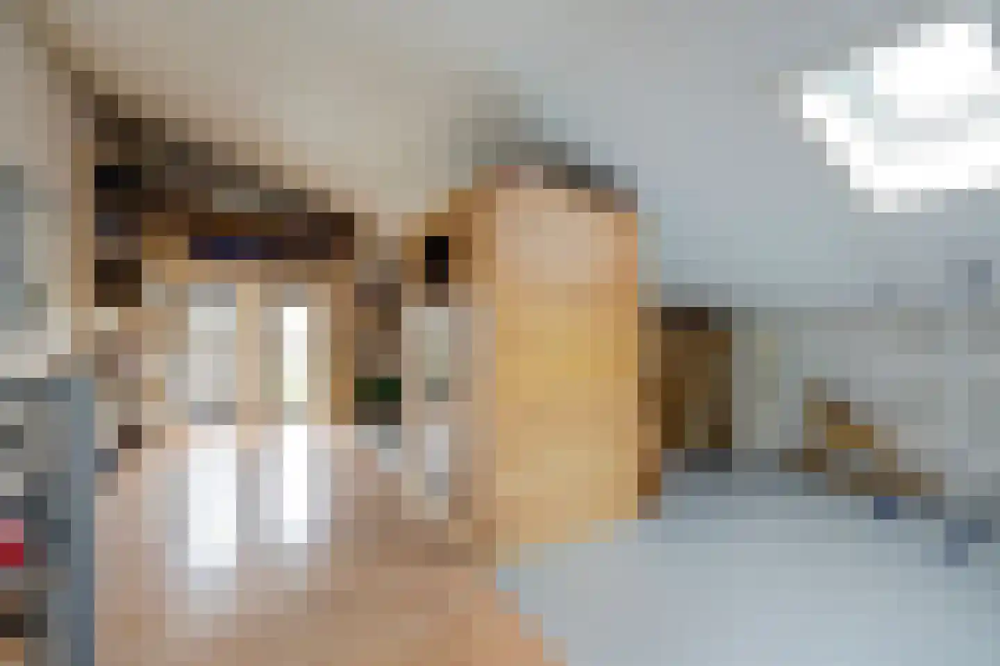 Twickel 14 Lelystad thumbnail 33