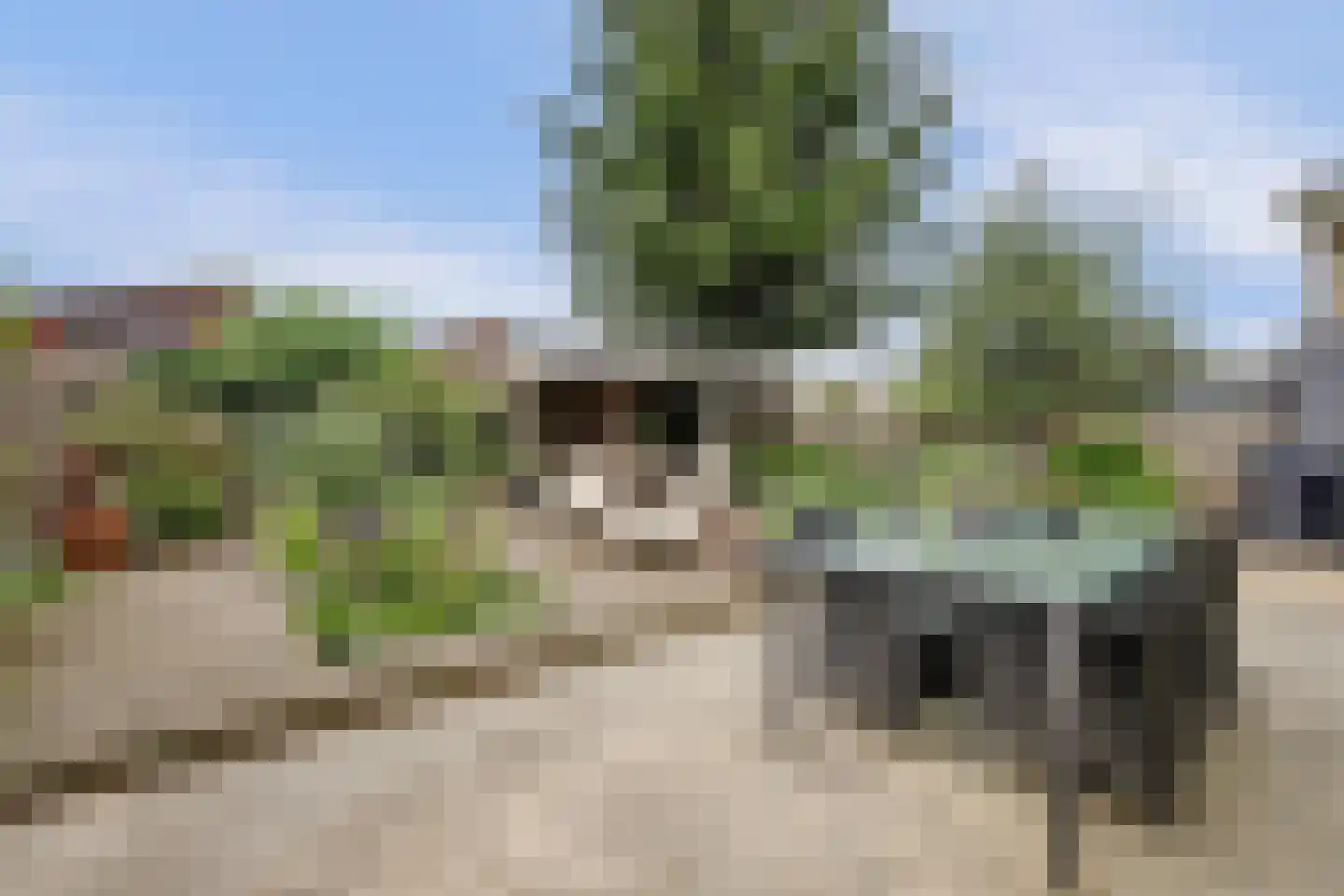 Twickel 14 Lelystad thumbnail 38