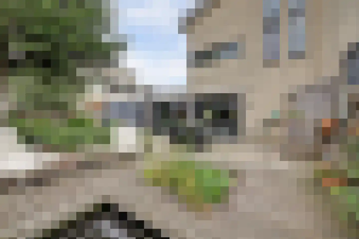 Twickel 14 Lelystad thumbnail 42