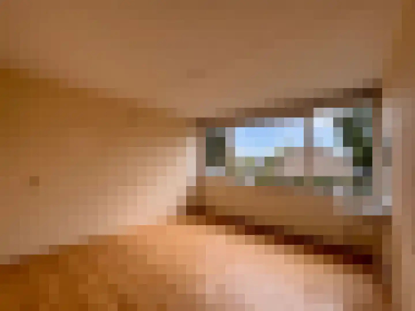 Twickel 24 Almelo thumbnail 13