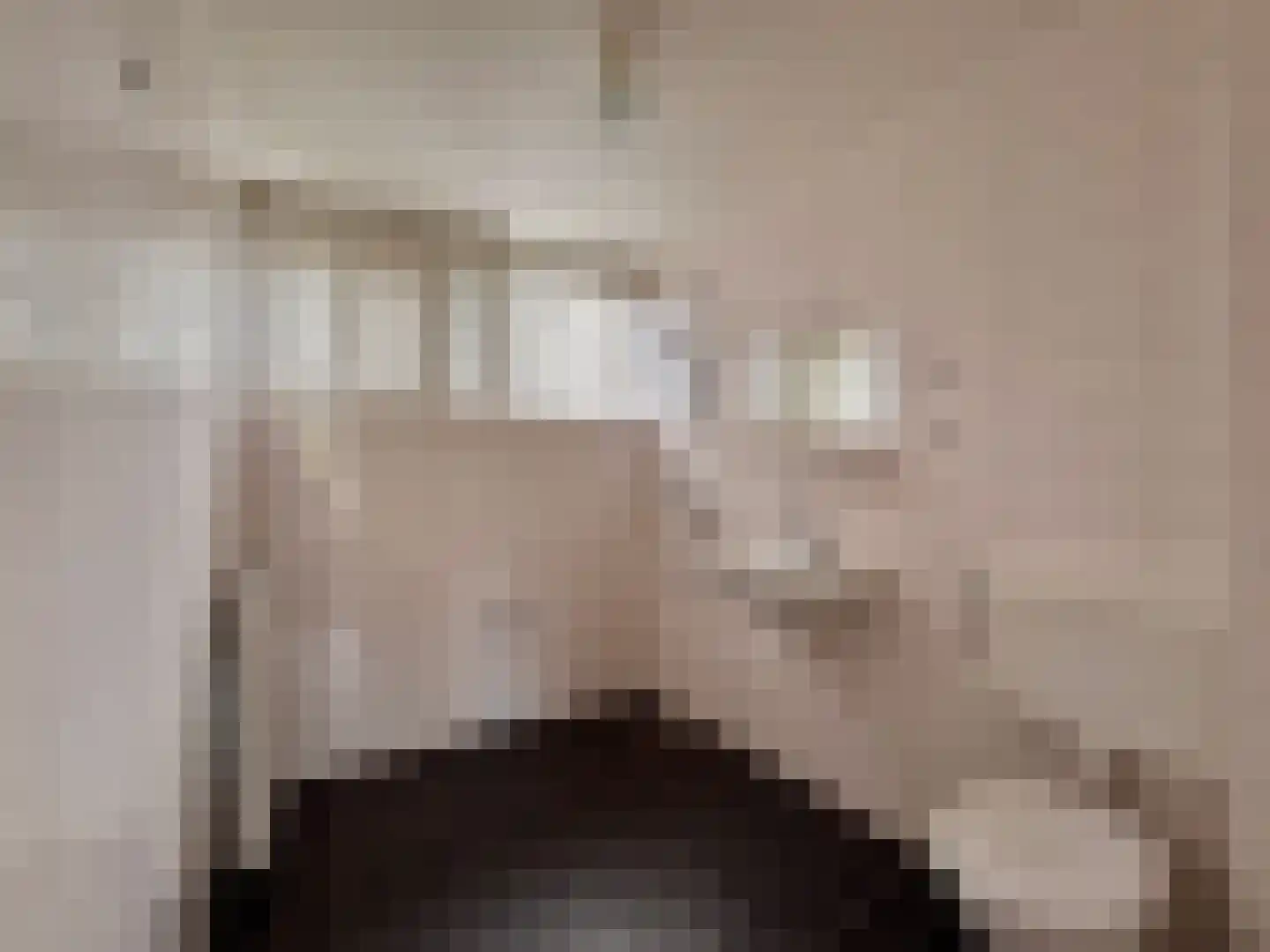 Twickel 24 Almelo thumbnail 14