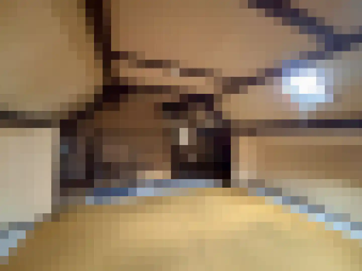 Twickel 24 Almelo thumbnail 16