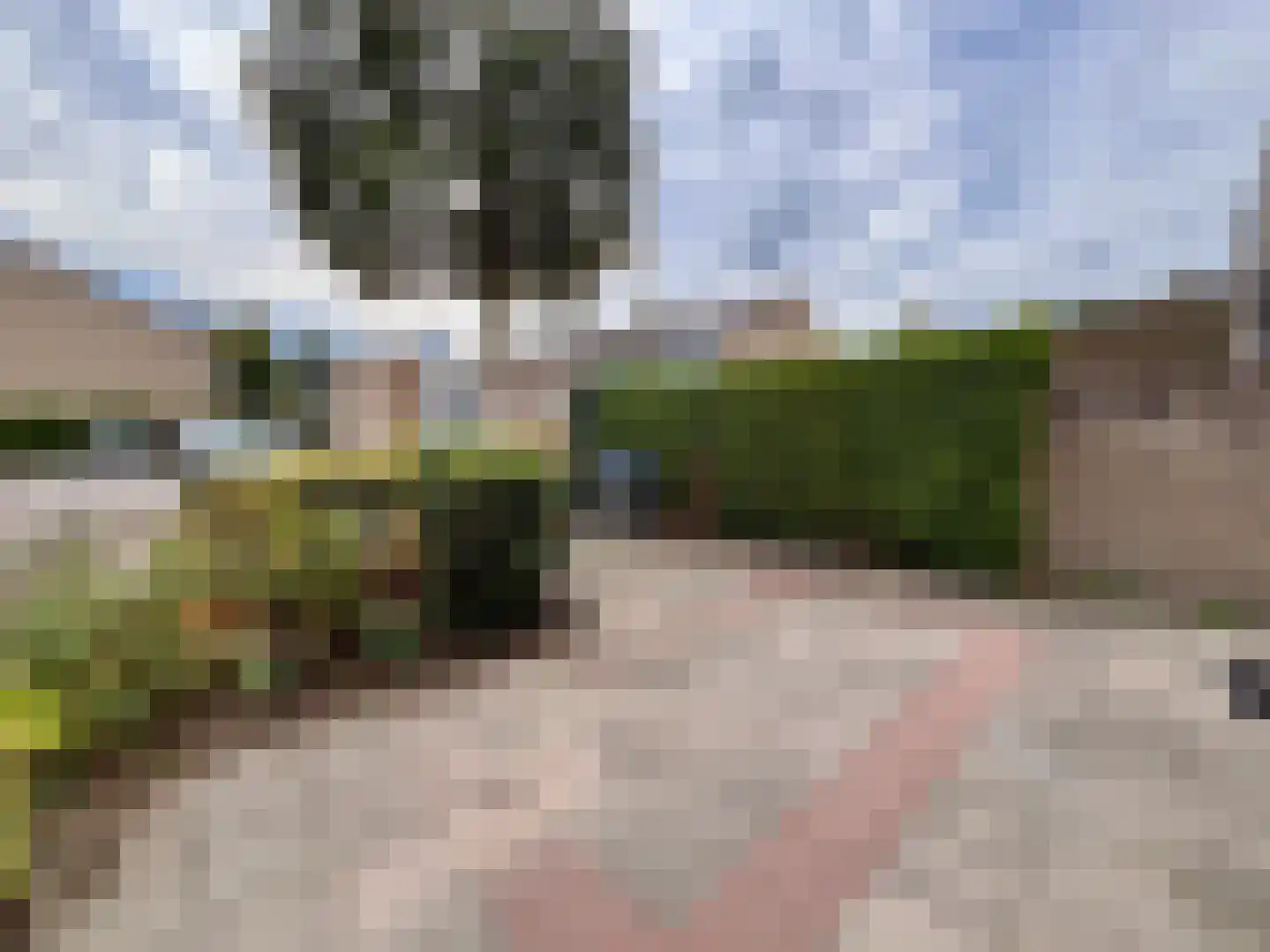 Twickel 24 Almelo thumbnail 20