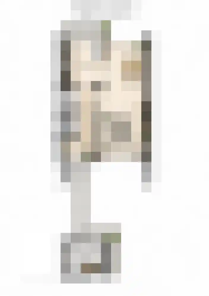 Twickel 24 Almelo thumbnail 22