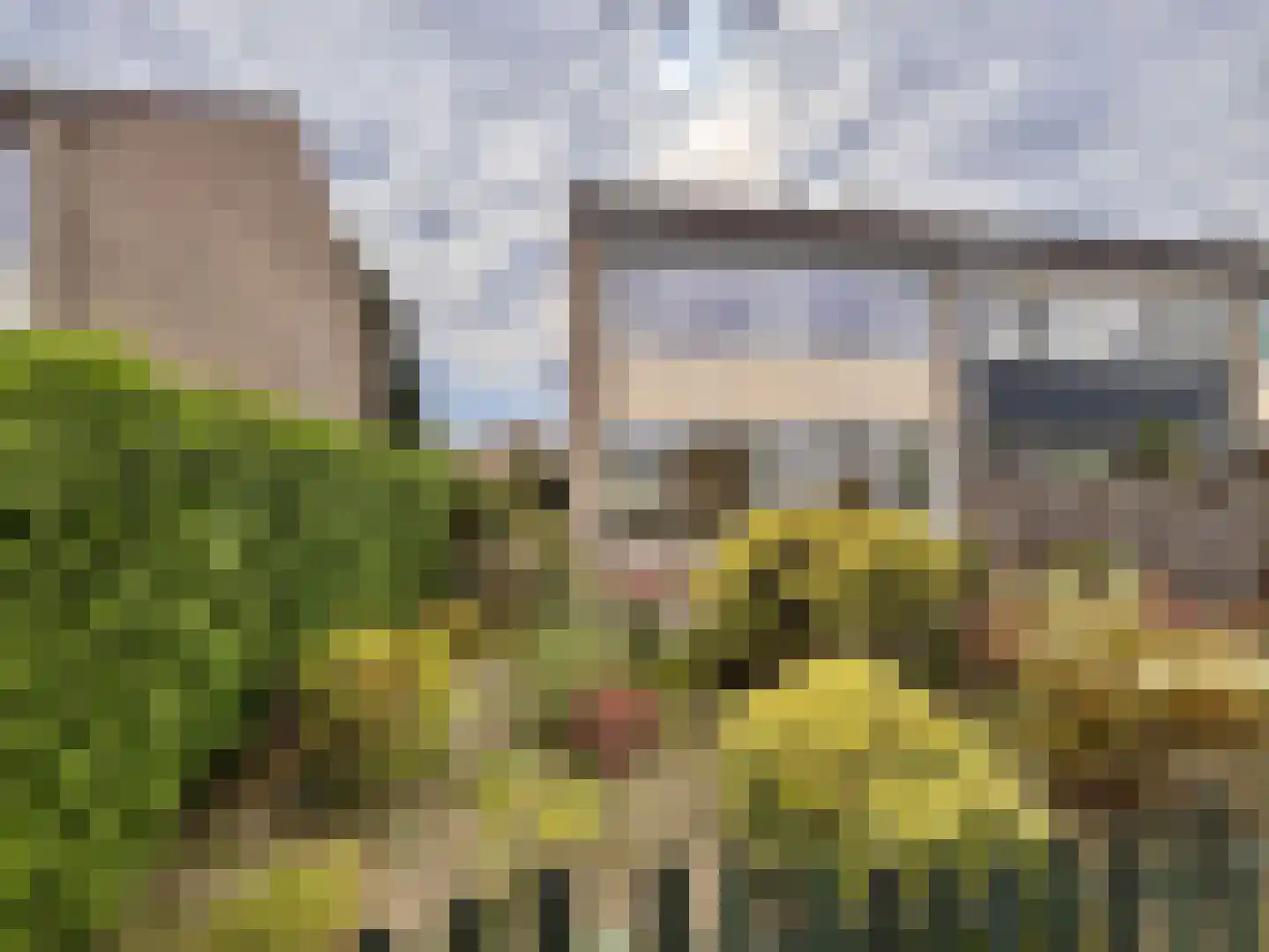 Twickel 24 Almelo thumbnail 4